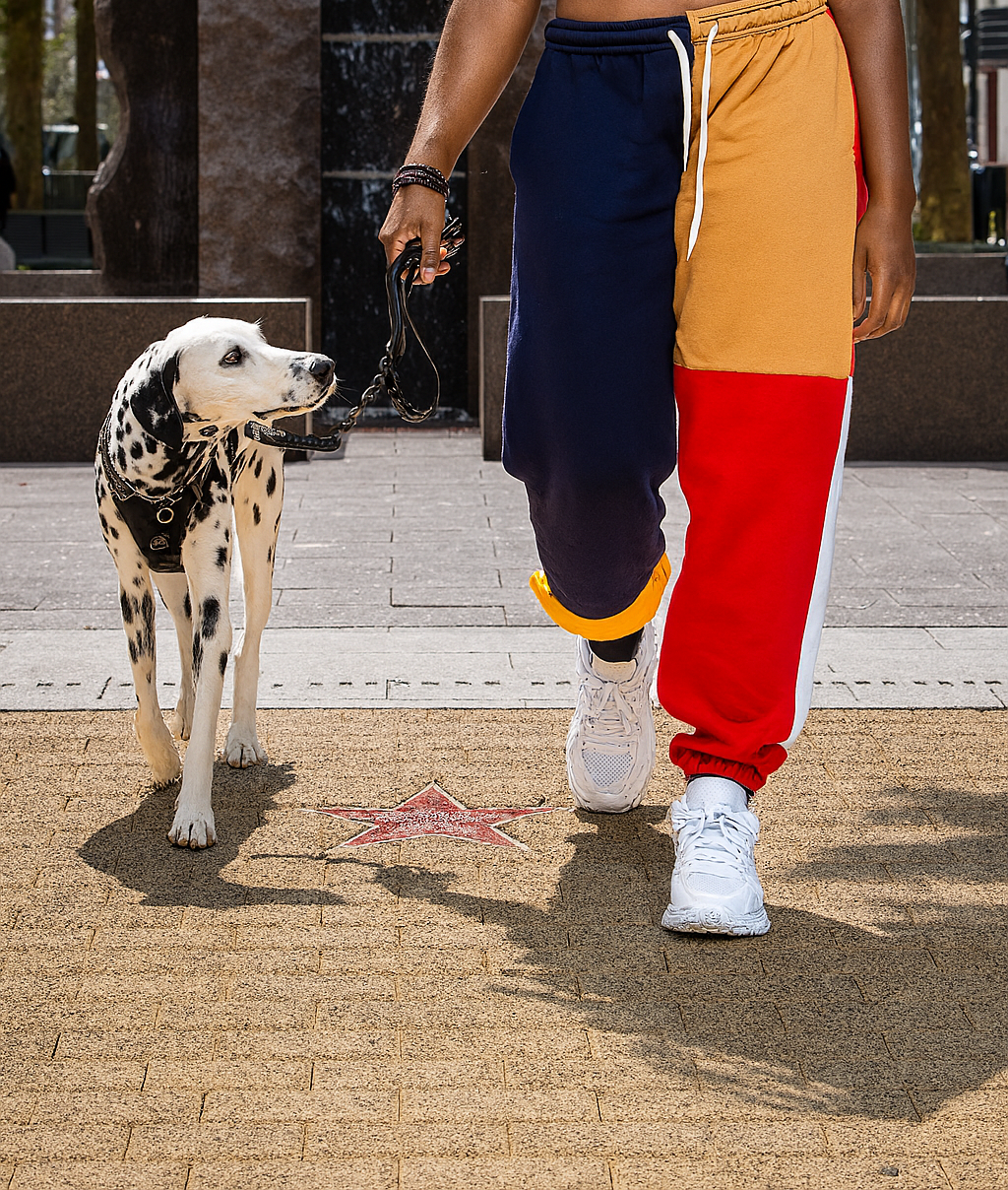 38" Long Inseam Colorblock Sweatpants